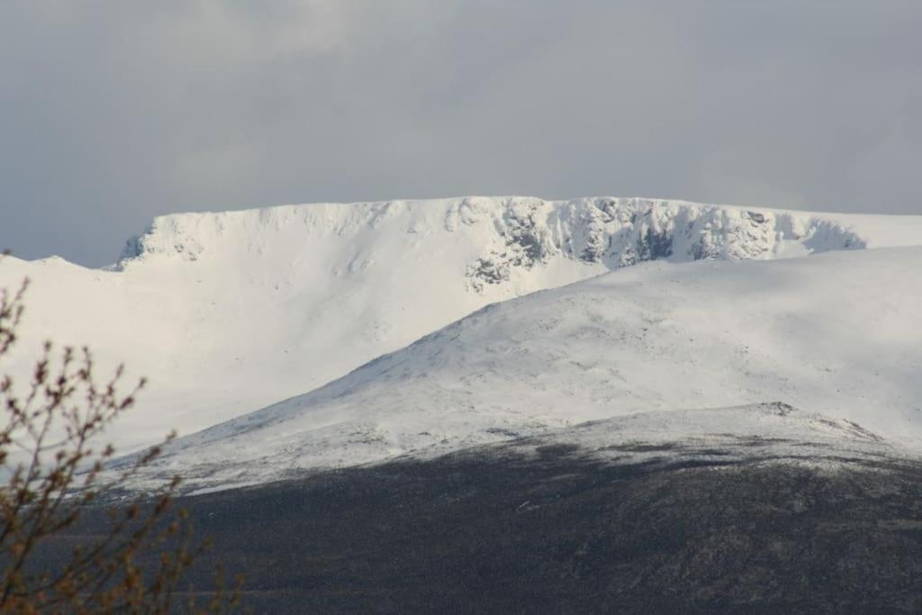 Aviemore Cottage - Cairngorms National Park Exterior photo